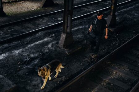 výjezdy a patrolace